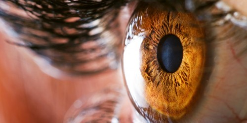 descripció del glaucoma