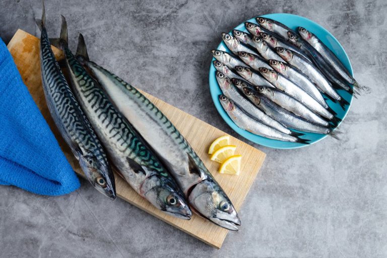Lee más sobre el artículo Cómo diferenciar el pescado azul del pescado blanco