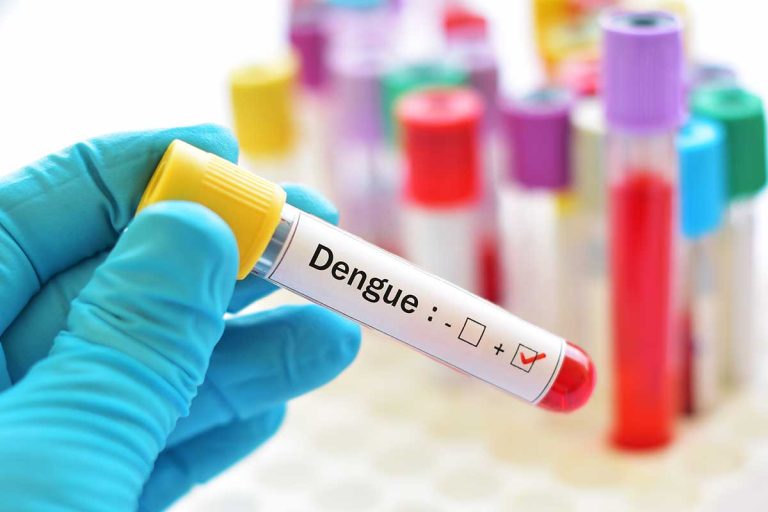 Lee más sobre el artículo El Dengue: Una Realidad Emergente